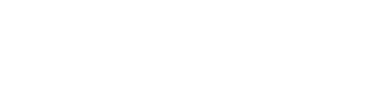 VESH Travels